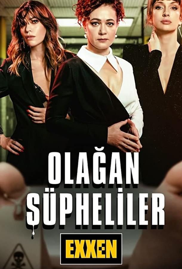 Обычные подозреваемые poster