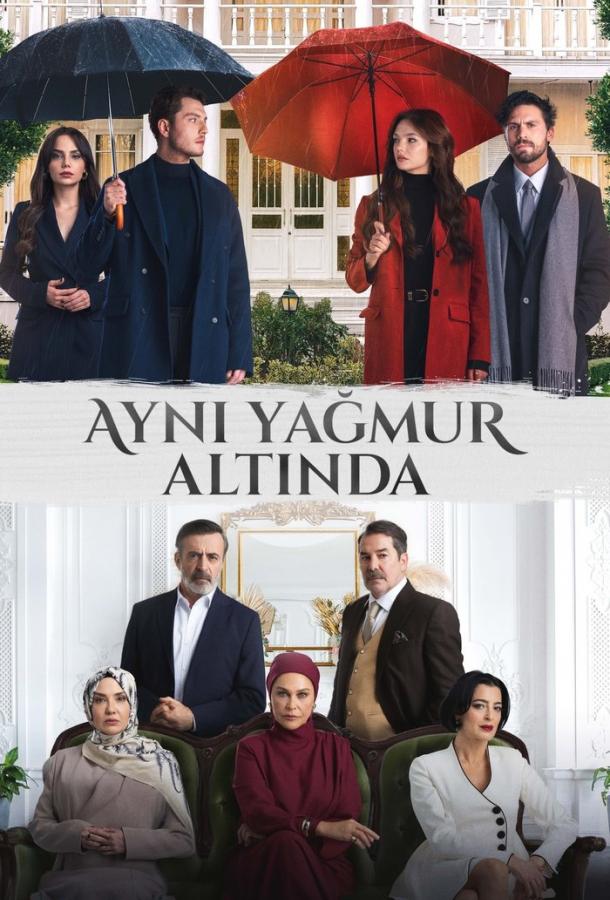 Под одним дождем poster